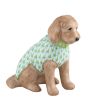 Labradoodle