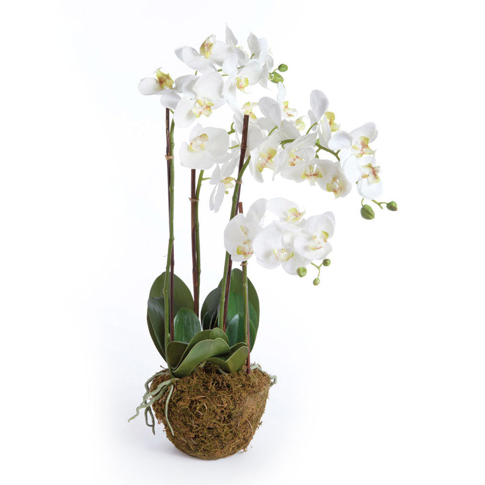 30" Faux Orchid