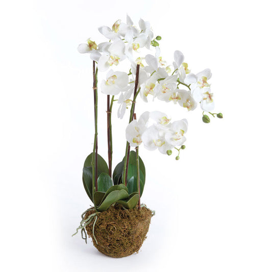 30" Faux Orchid