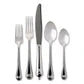B & T Polished 5 pc place setting